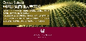義大利紅酒果凍面膜 25ml體驗包 ( 一次性 )